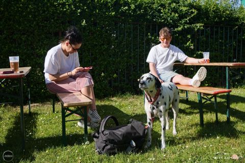 Foto z festivalu Mezi Bloky 2024