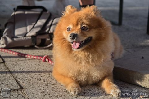 Foto z festivalu Mezi Bloky 2023