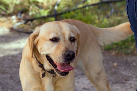 Foto z festivalu Mezi Bloky 2025